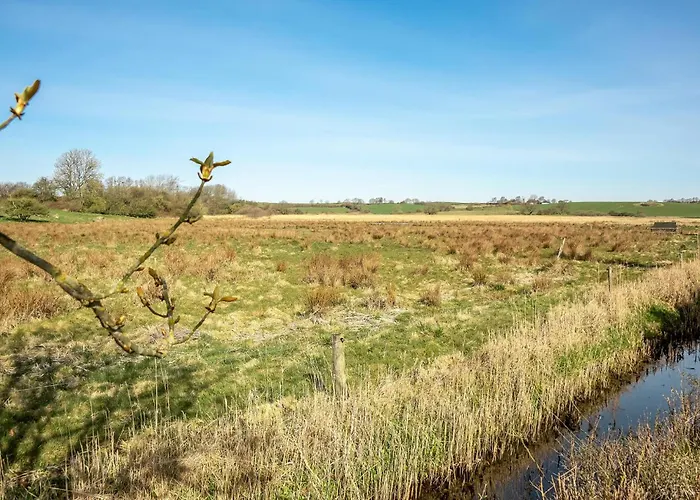 Lovely In With Kitchen Vakantiehuis